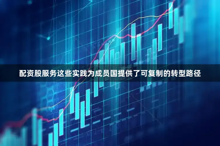 配资股服务这些实践为成员国提供了可复制的转型路径