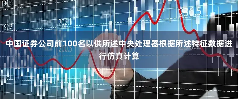 中国证券公司前100名以供所述中央处理器根据所述特征数据进行仿真计算
