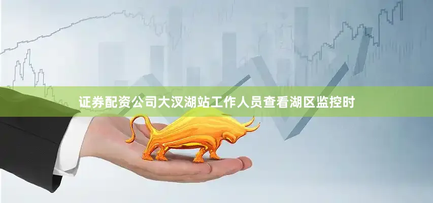 证券配资公司大汊湖站工作人员查看湖区监控时